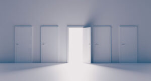 single-issue mediation