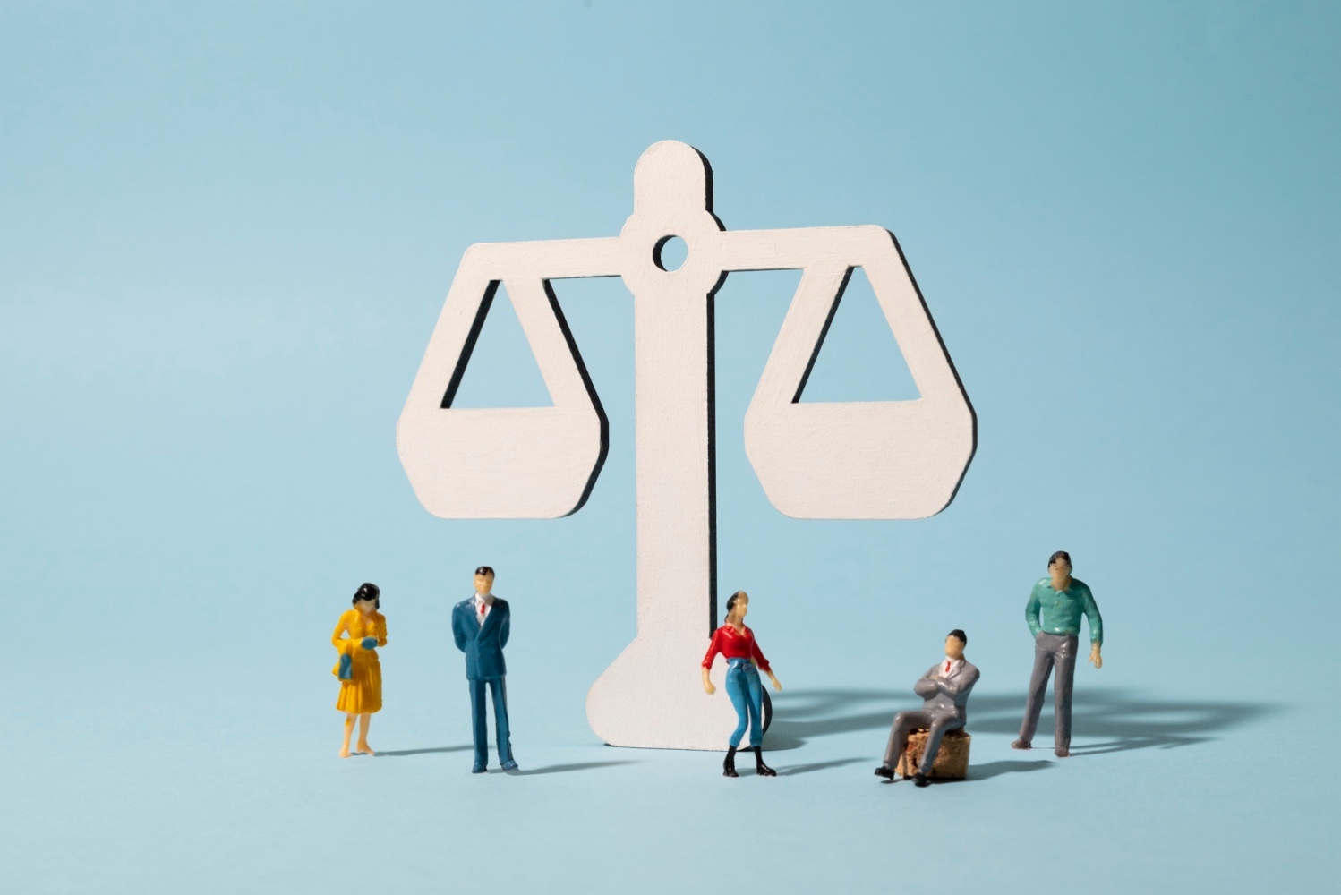 Judicial Review