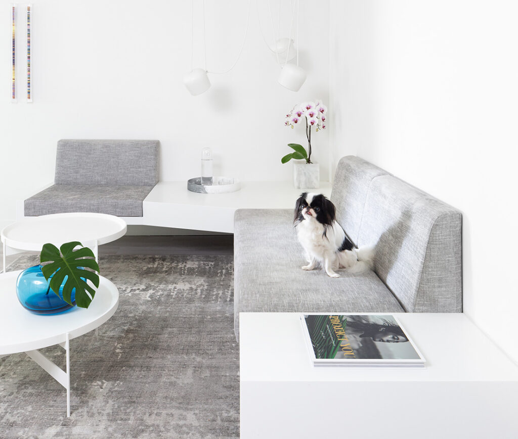 Comprehensive Pet Custody Services