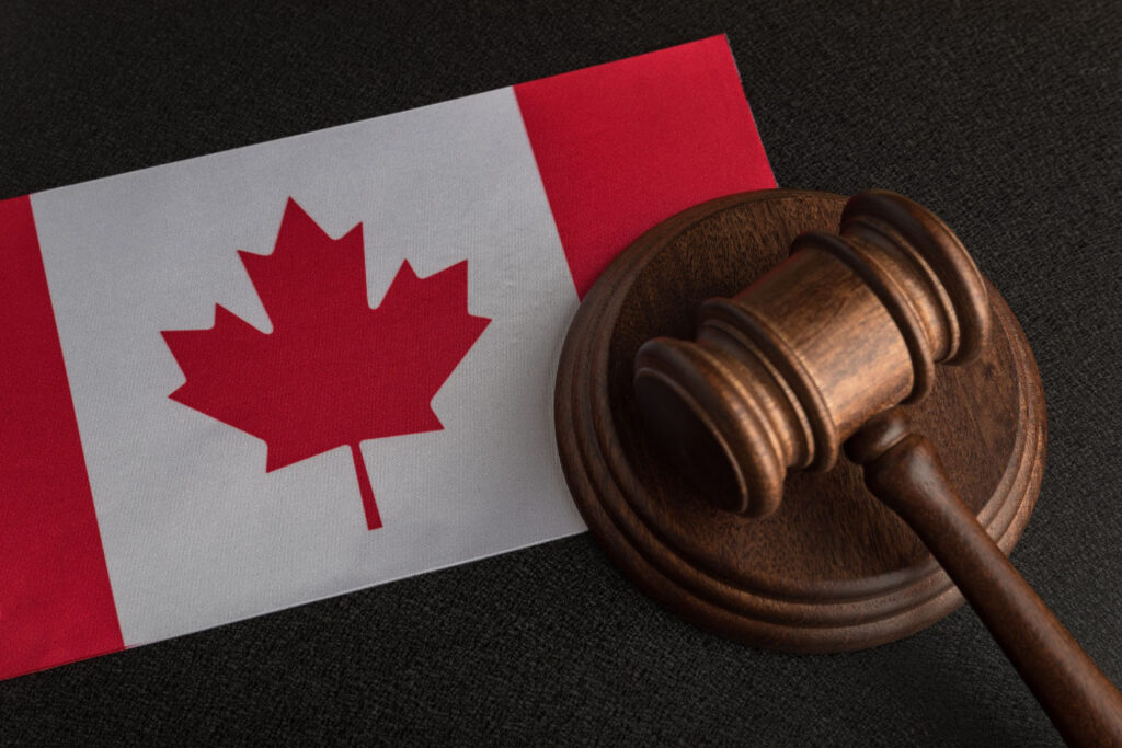 Case Summary- Vestergaard v. Destiny Media Technologies Inc.